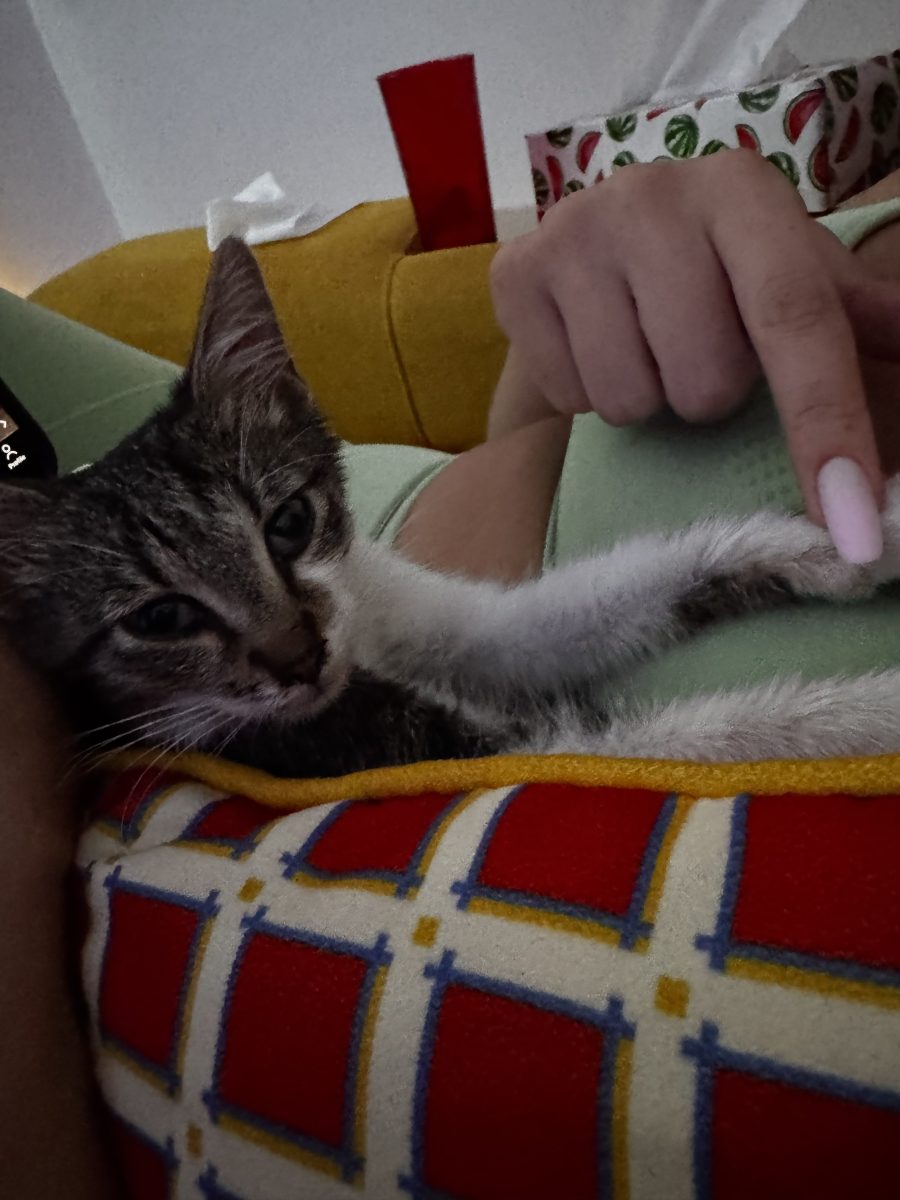 Tomitza
