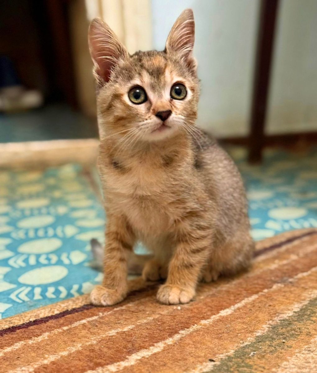 Nyssa, cu speranța la O VIAȚĂ FERICITĂ