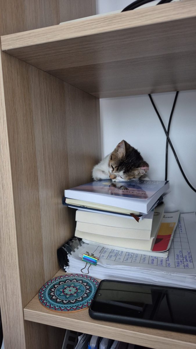Adopție Fetiță 2 luni Bucuresti| Ilfov