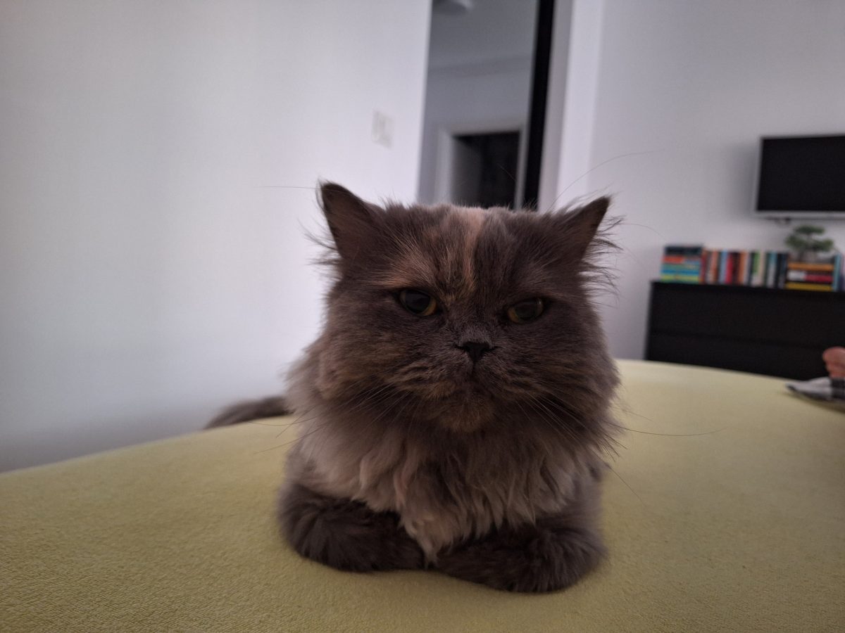 Fluffy