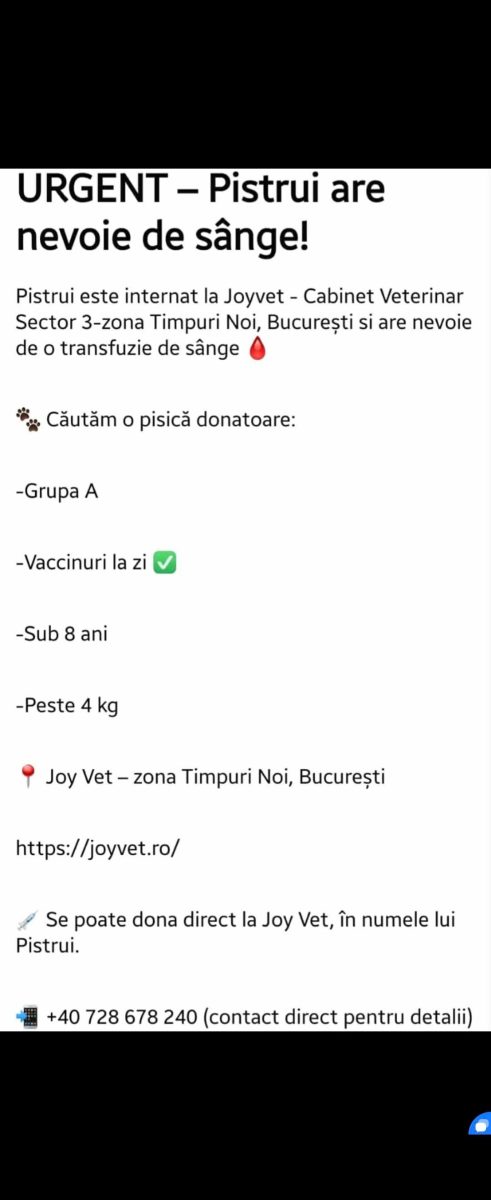Ajutor!