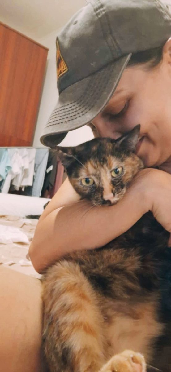 ✨️SUPERBA GORGONZOLA PT ADOPTIE URGENTA IN BUCURESTI❤️