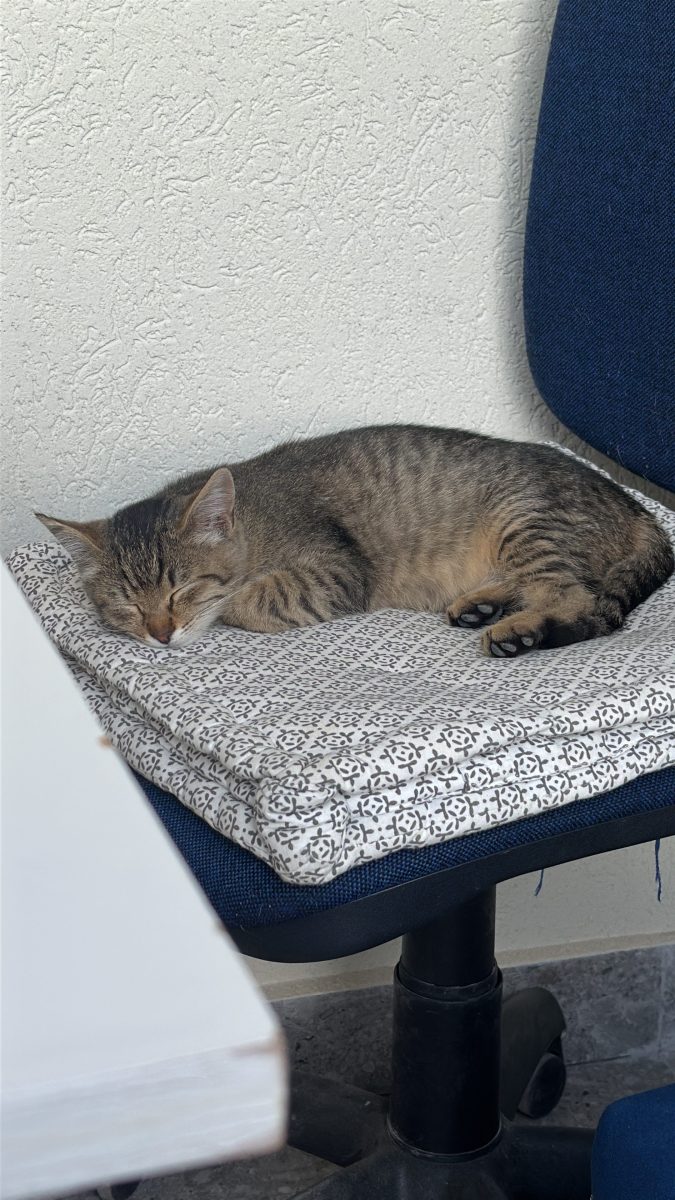 Baietel pentru adoptie