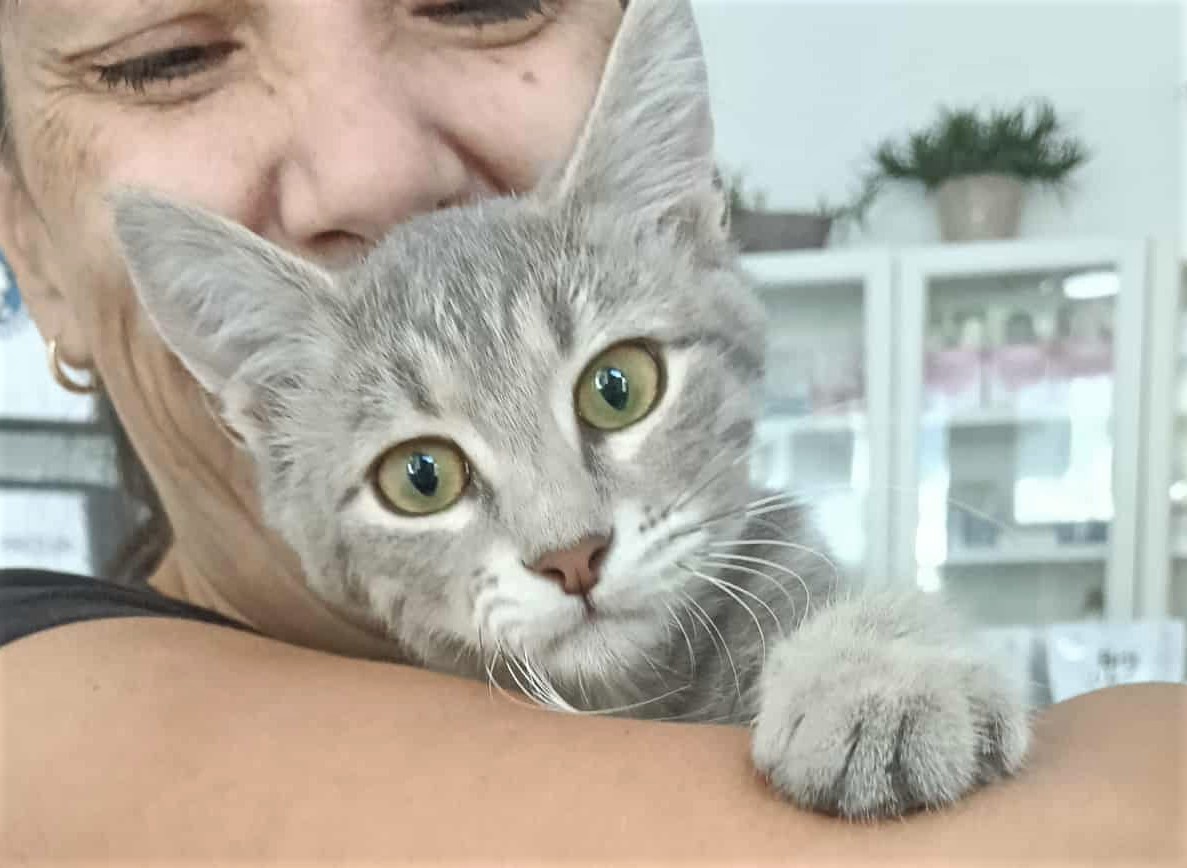 Alice si un vis / La un om al ei, care sa o iubeasca pe viata