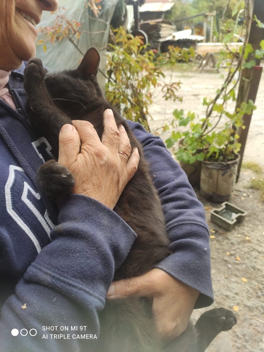 Urgent, puiuți abandonați, a venit frigul