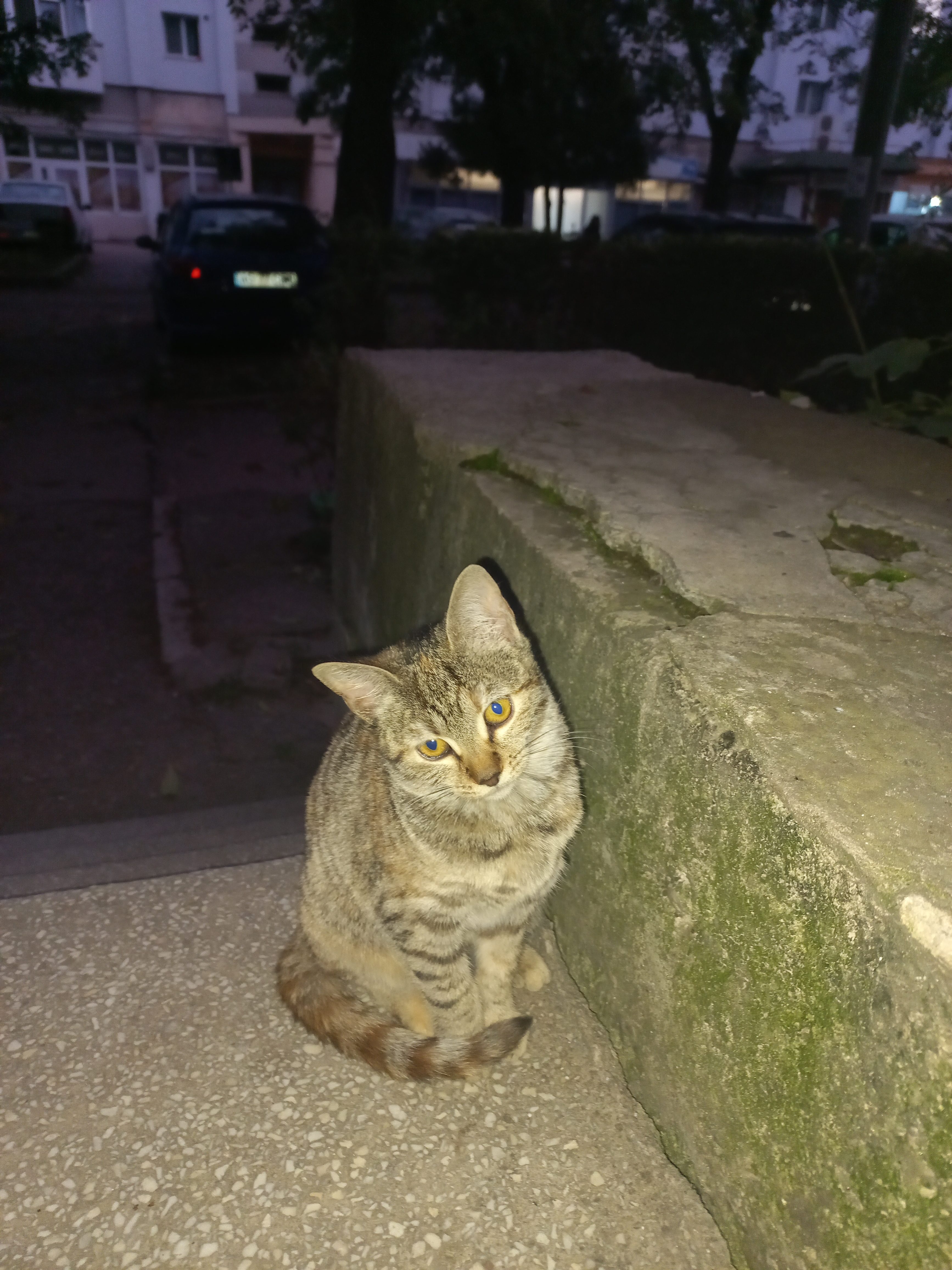 Fetita pentru adoptie