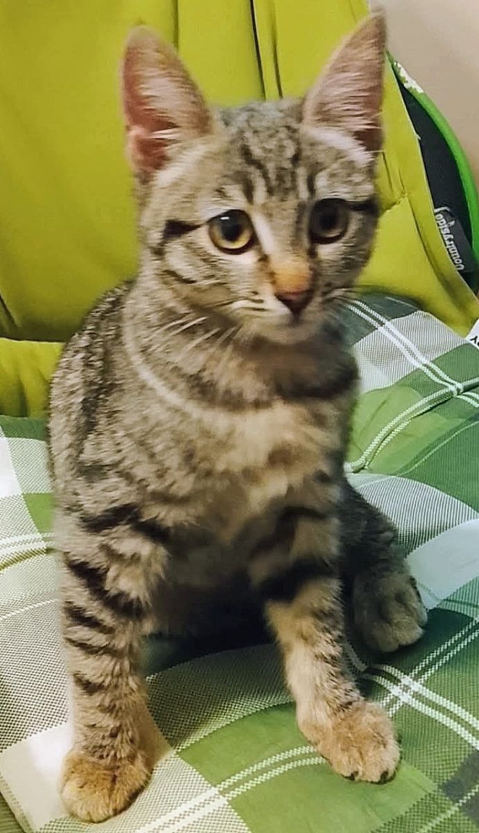 PUI de IUBIT!❤️