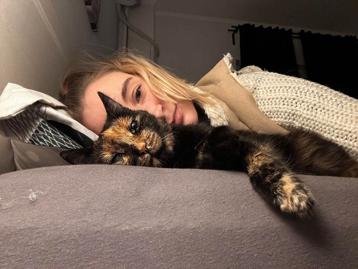 Catsitting