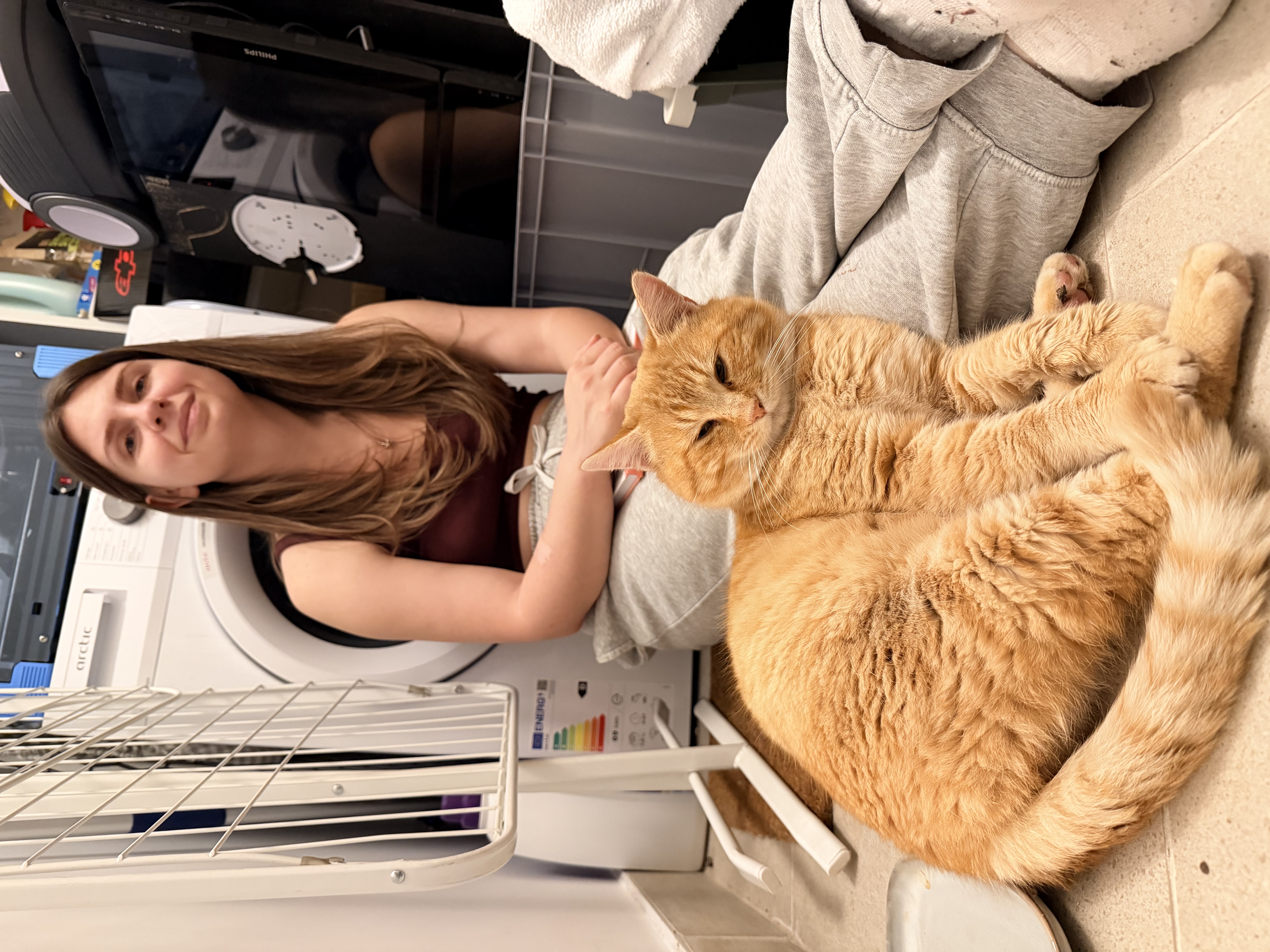Actorul Charlie caută rolul vieții lui: o familie permanentă 🐾