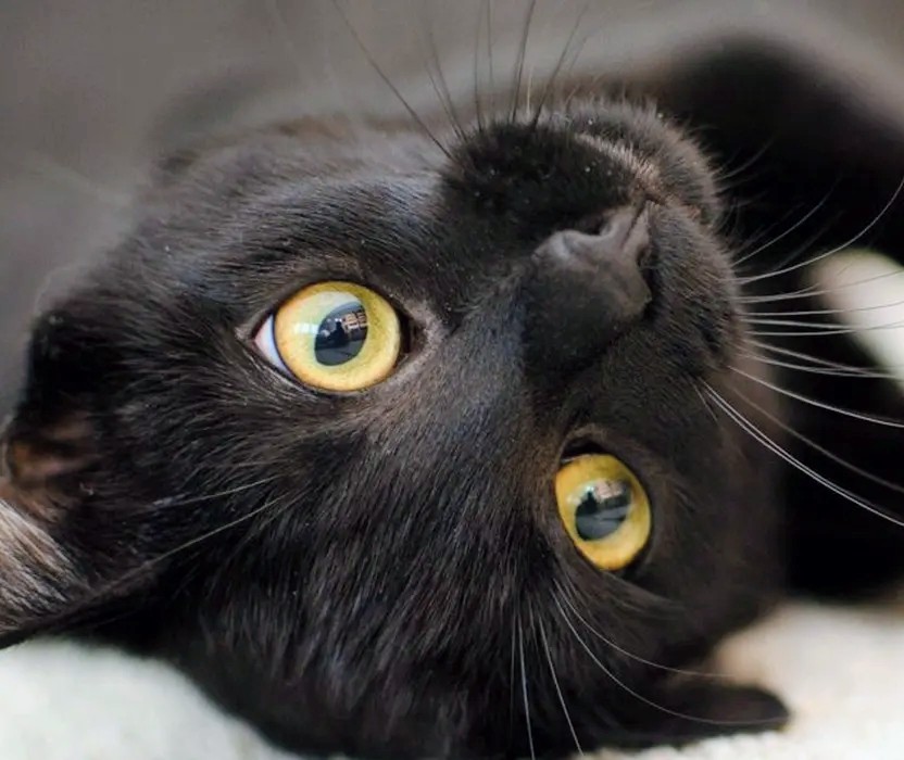Vreau și eu o casă a mea!🙏🏻