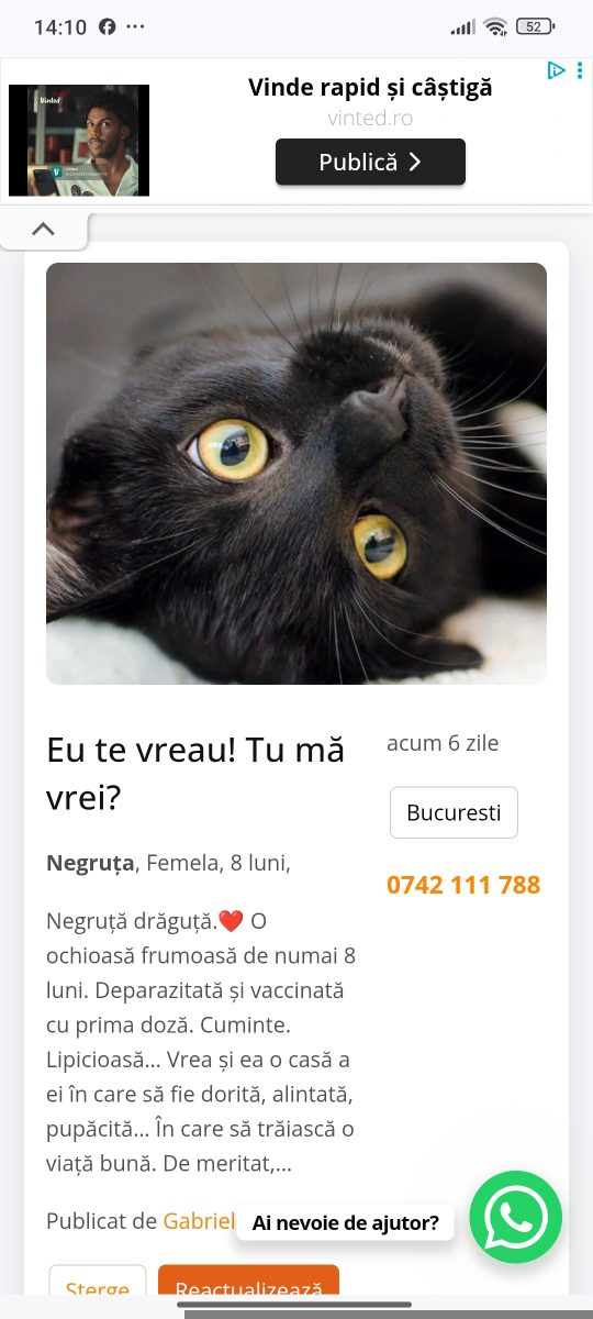 Nicio casă nu-i acasă fără o pisică neagră.