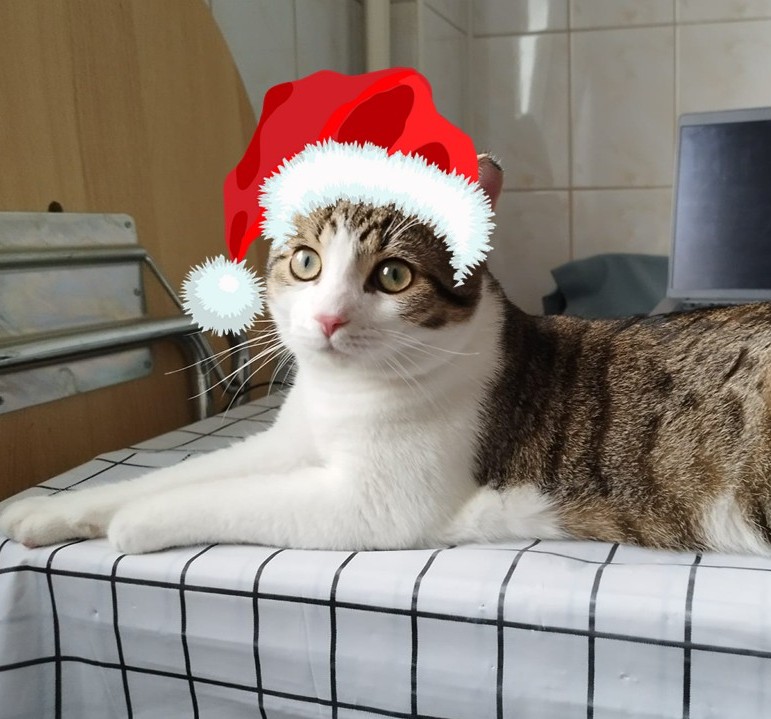 Ho, Ho, Ho!!  Vrei sa fii foarte, foarte iubit(a)? Atunci adopta-l pe Sfâr!