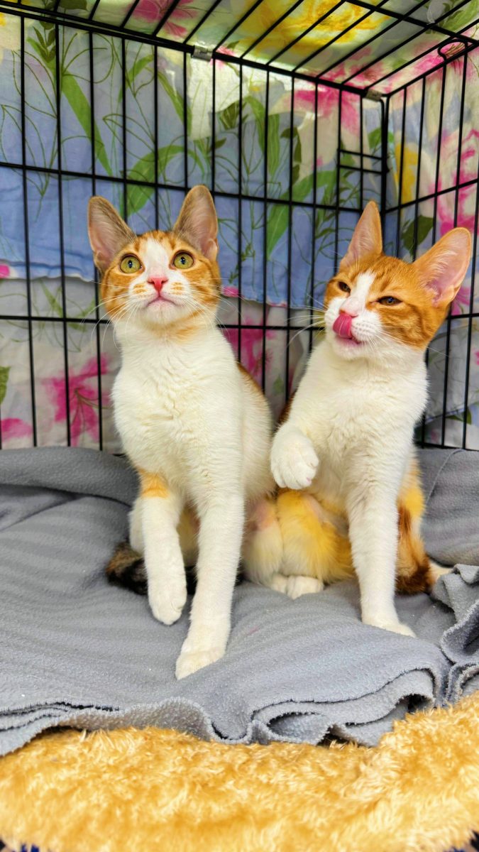 Madi & Marmi