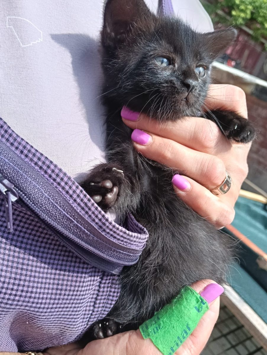 Panteruta fara gherute! 🥰😇