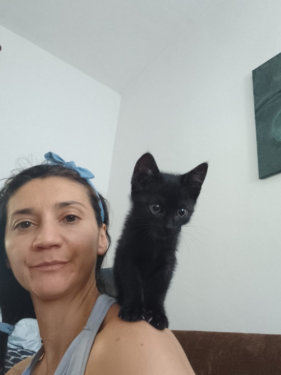 Pisicuță iubitoare