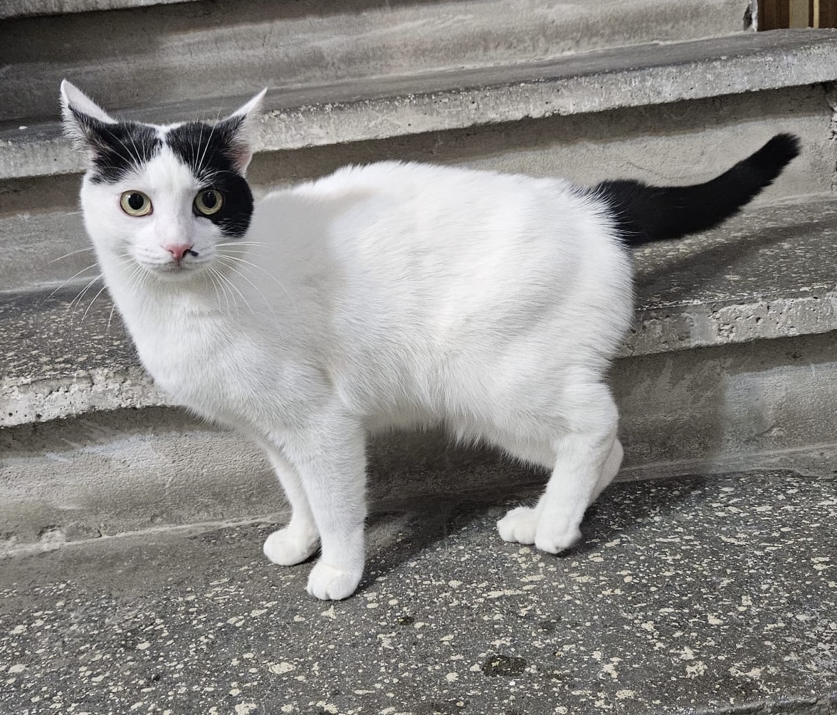 Eleganta si dragastoasa isi doreste o familie minunata!🥰🥰🥰