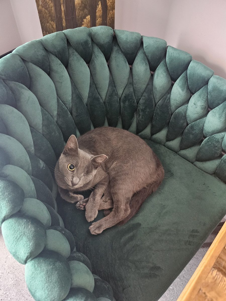 Freya, o fetita foarte jucausa 1an +