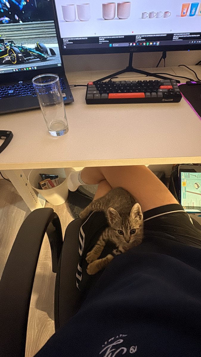 Pisoi fetita