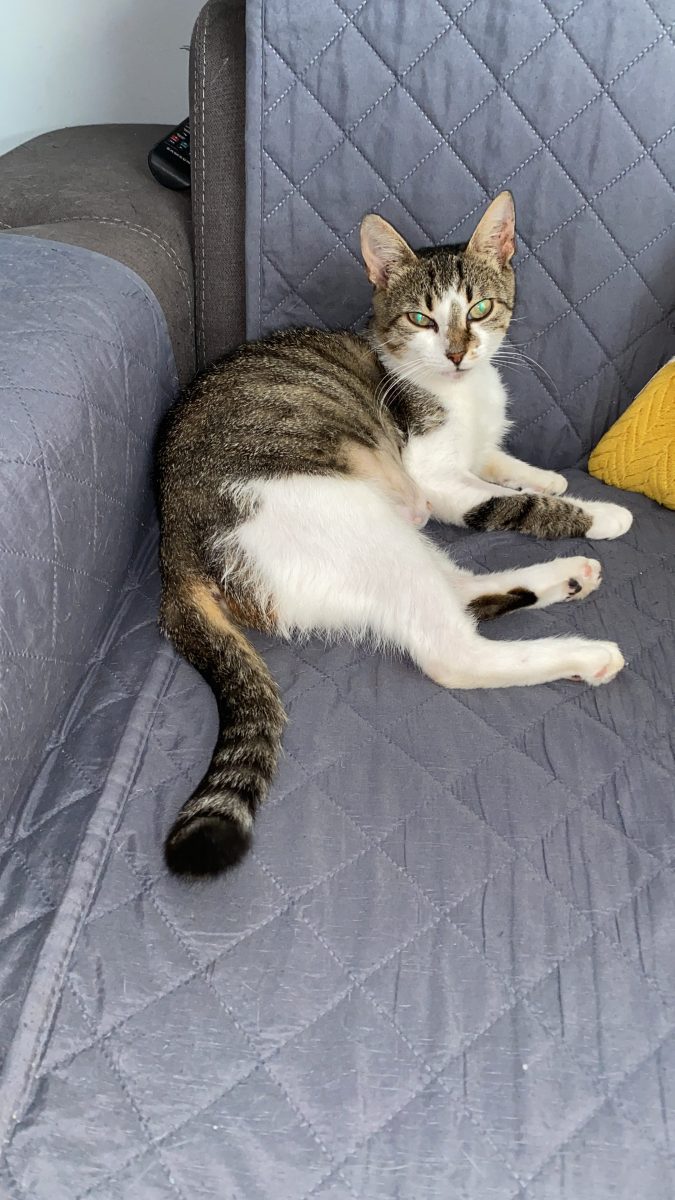 Deosebita Lizuca are nevoie de o familie la fel de deosebită!💝💝💝