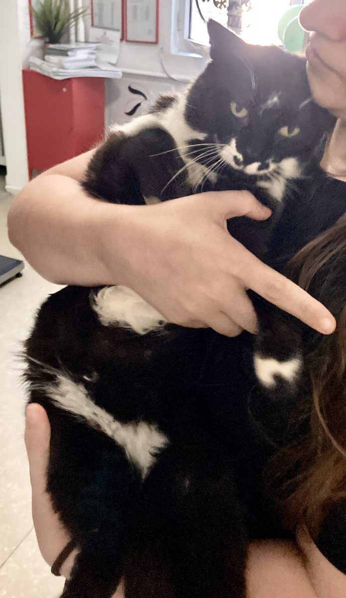 Moustache, baiat finut si iubaret pentru adoptie