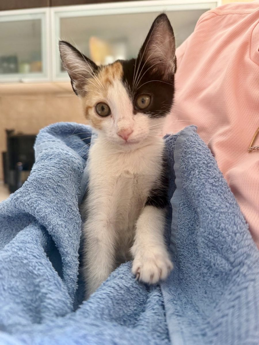 Micuța Mia își caută urgent o familie la fel de iubitoare ca ea.