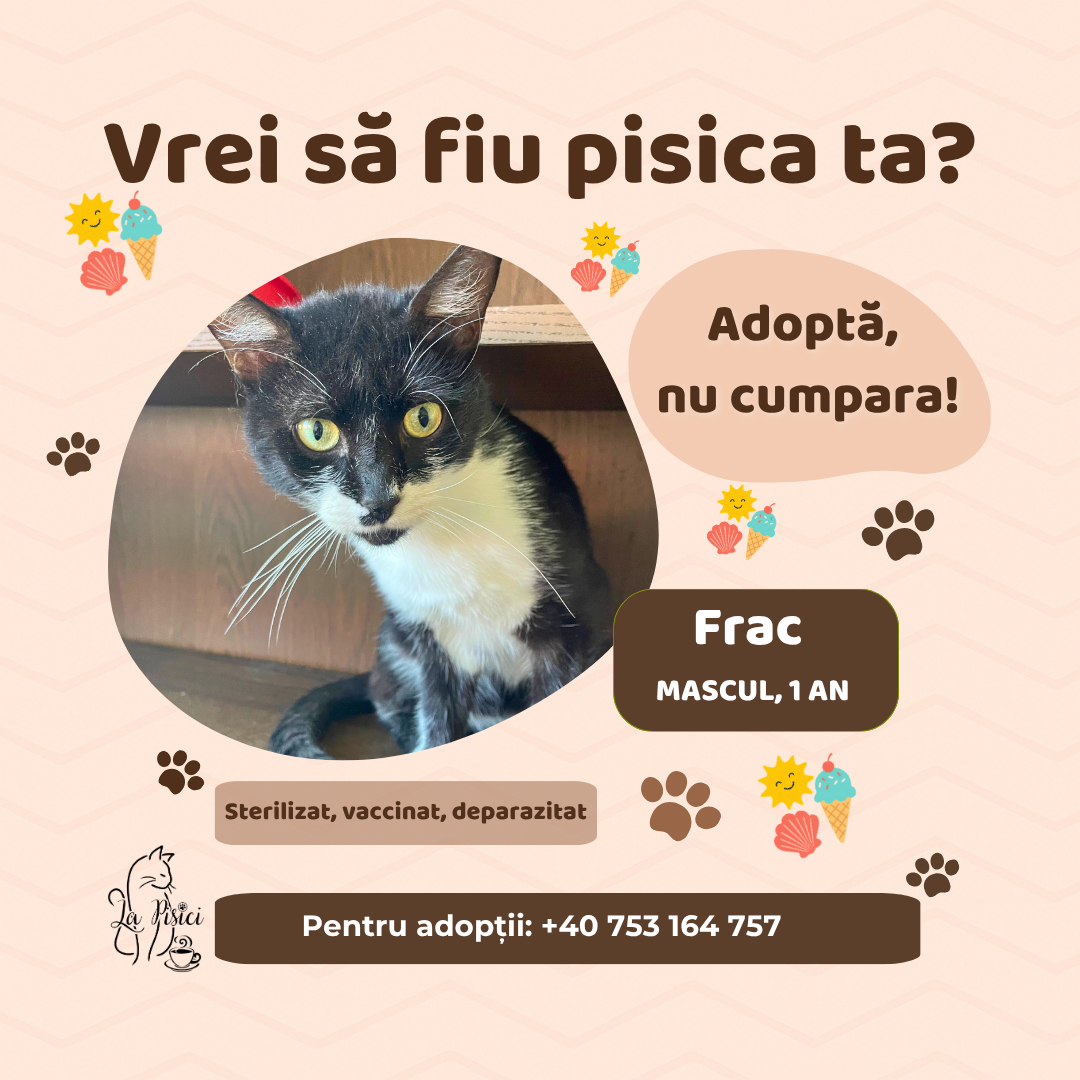 🐾 FRAC caută o familie pentru totdeauna 🐾