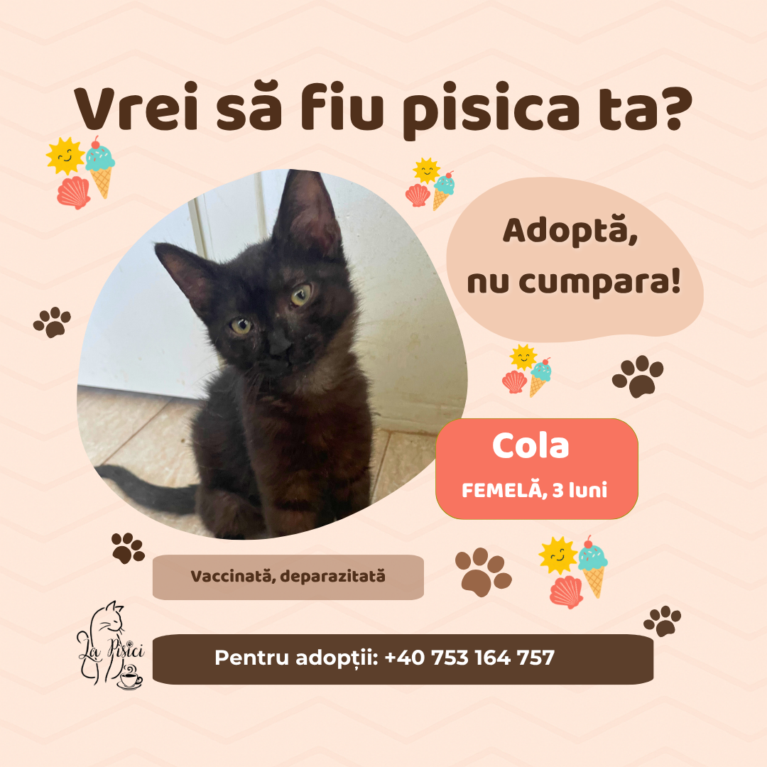 🐾 COLA caută o familie pentru totdeauna 🐾