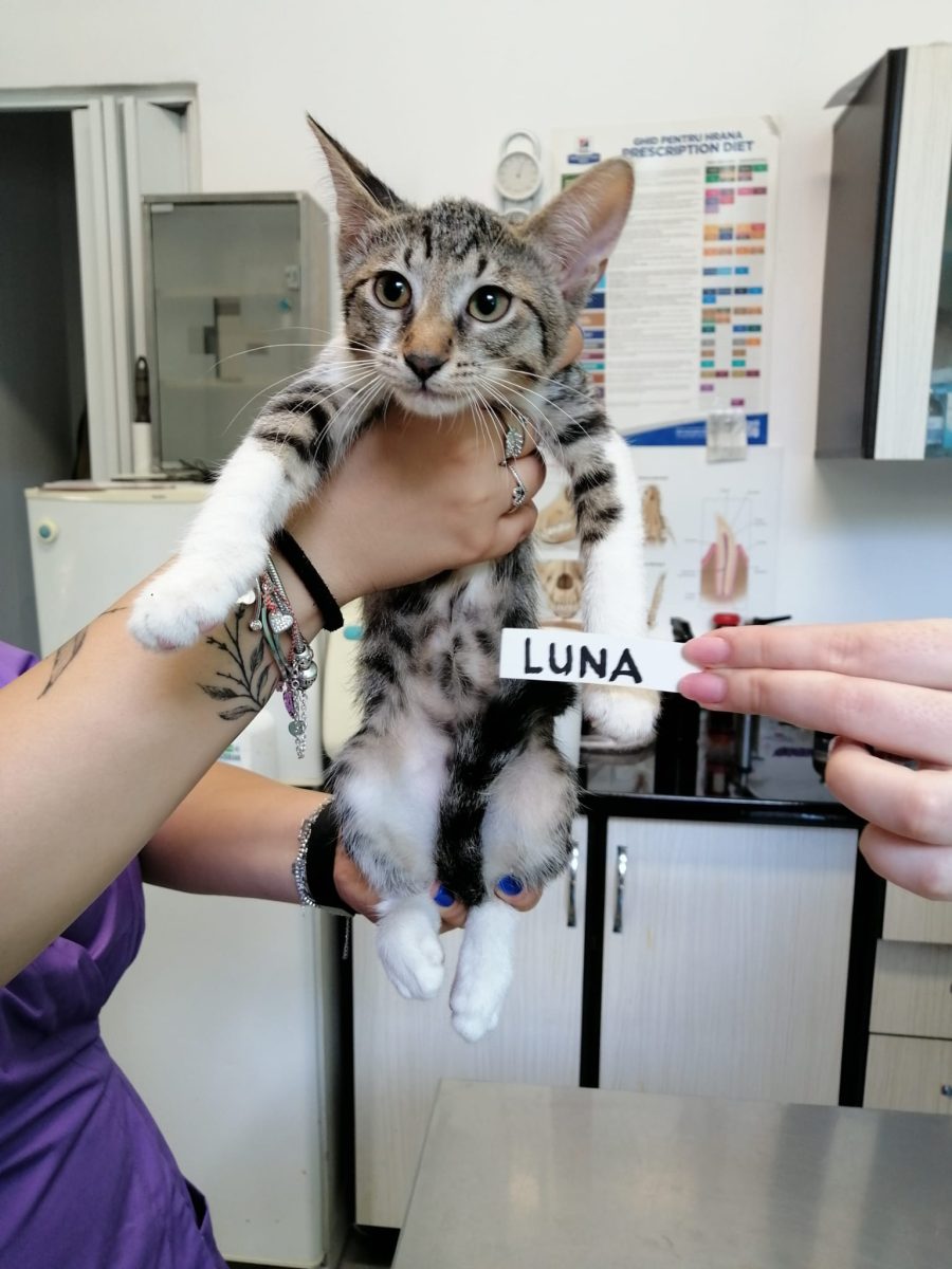 Luna