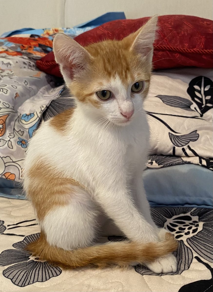 Te voi iubi necondiționat,doar trebuie sa imi dai ocazia!💙💙💙