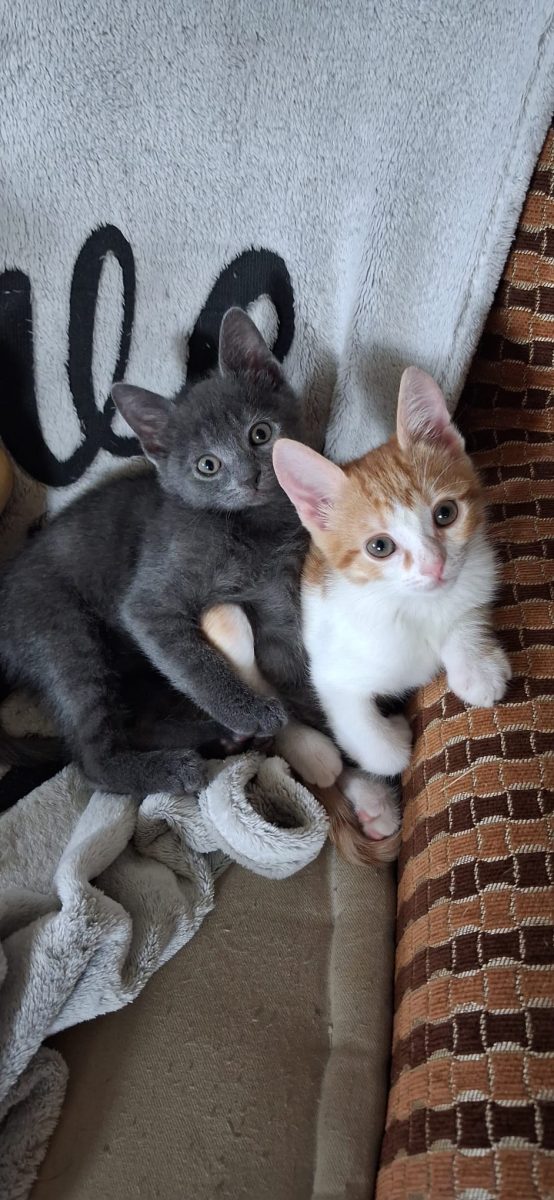 Sky&Mia