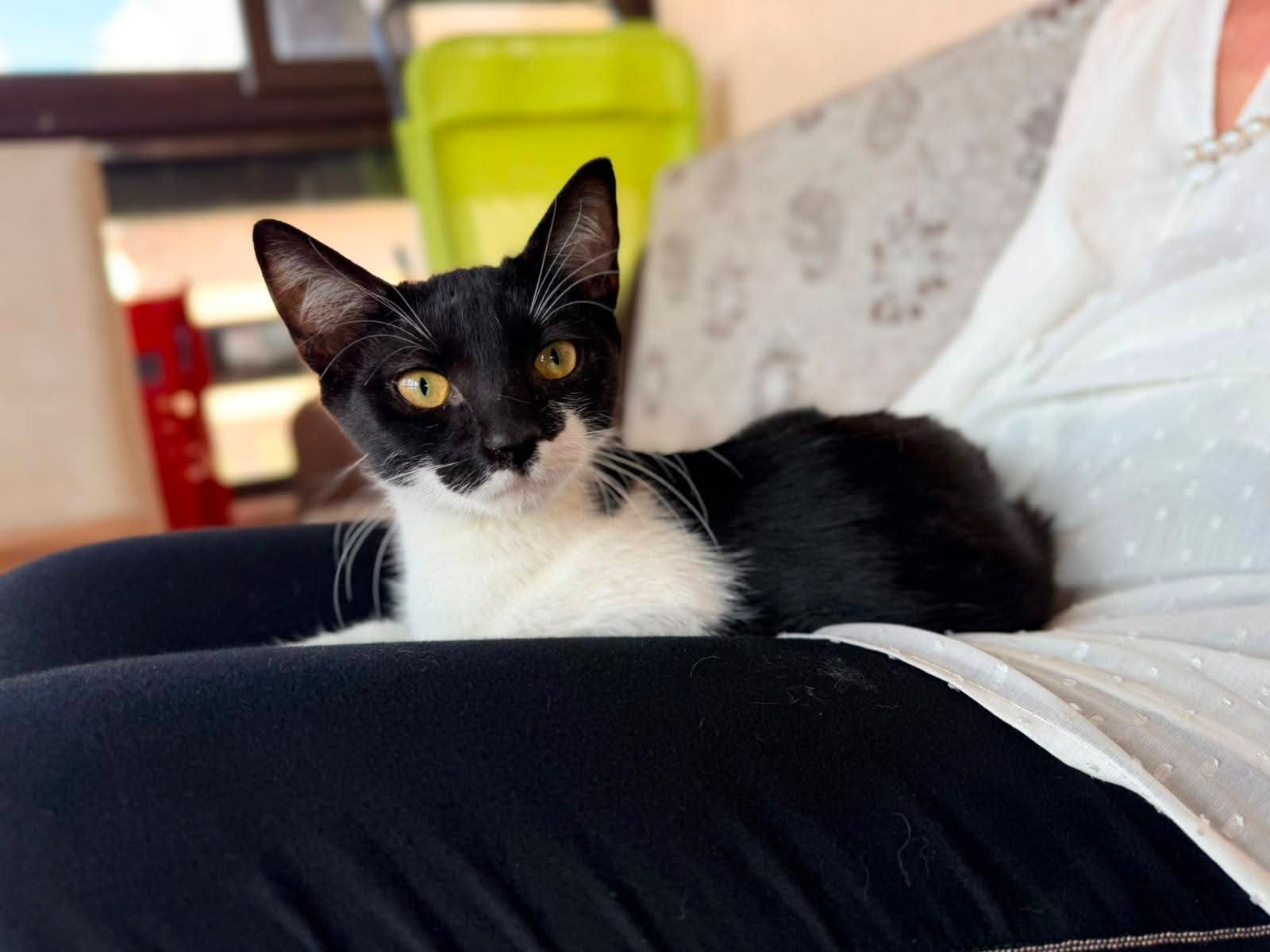 Fetita superba pt adoptie 😍