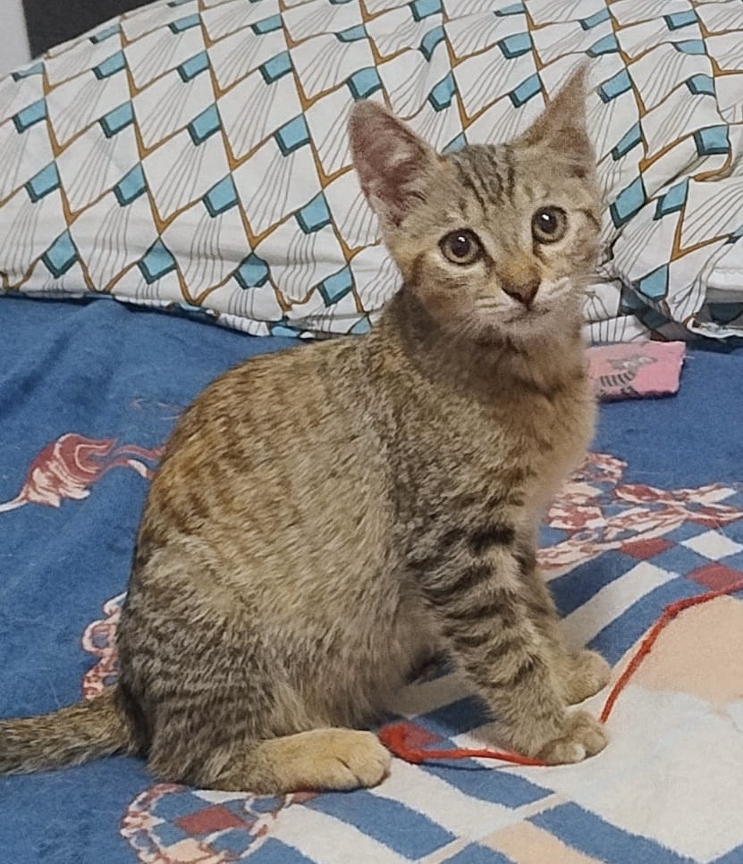 Două sufletele sunt in căutarea familiei!😍😍😍