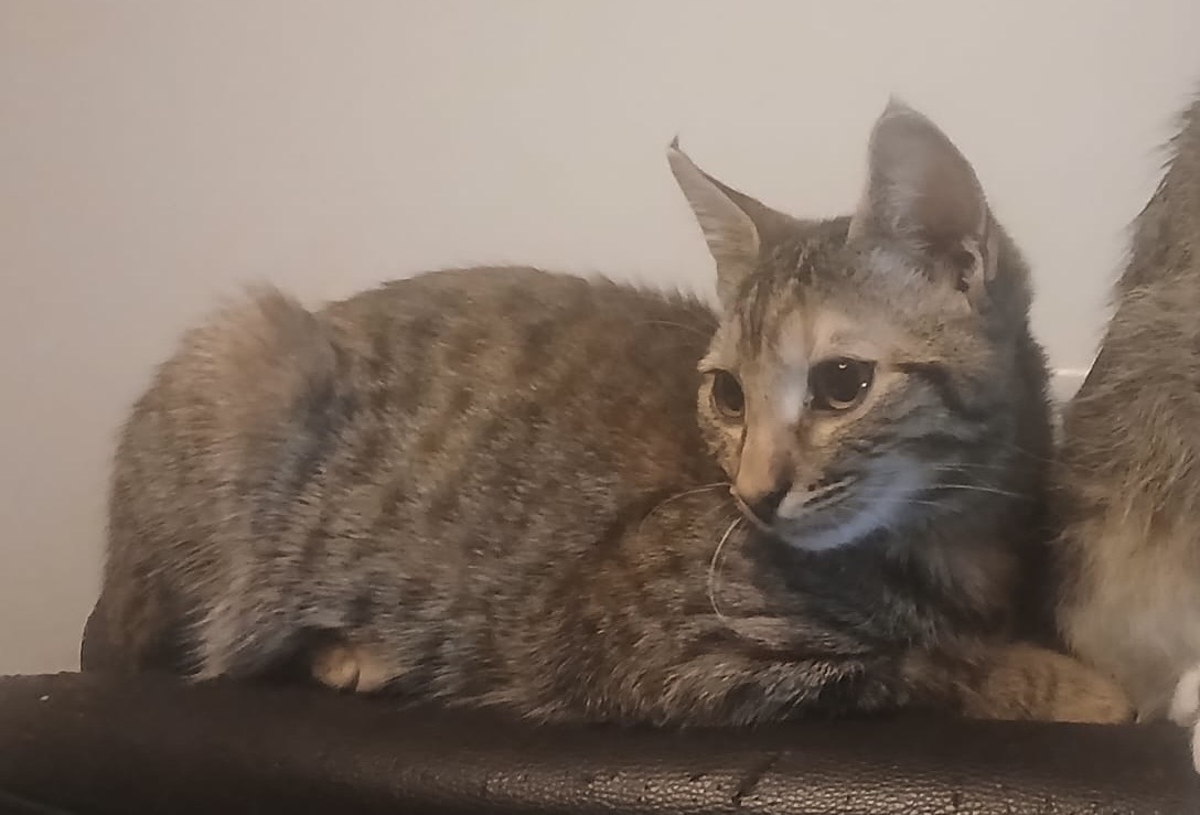 Micuța asta își dorește foarte tare să aibă o familie!🥰🥰🥰