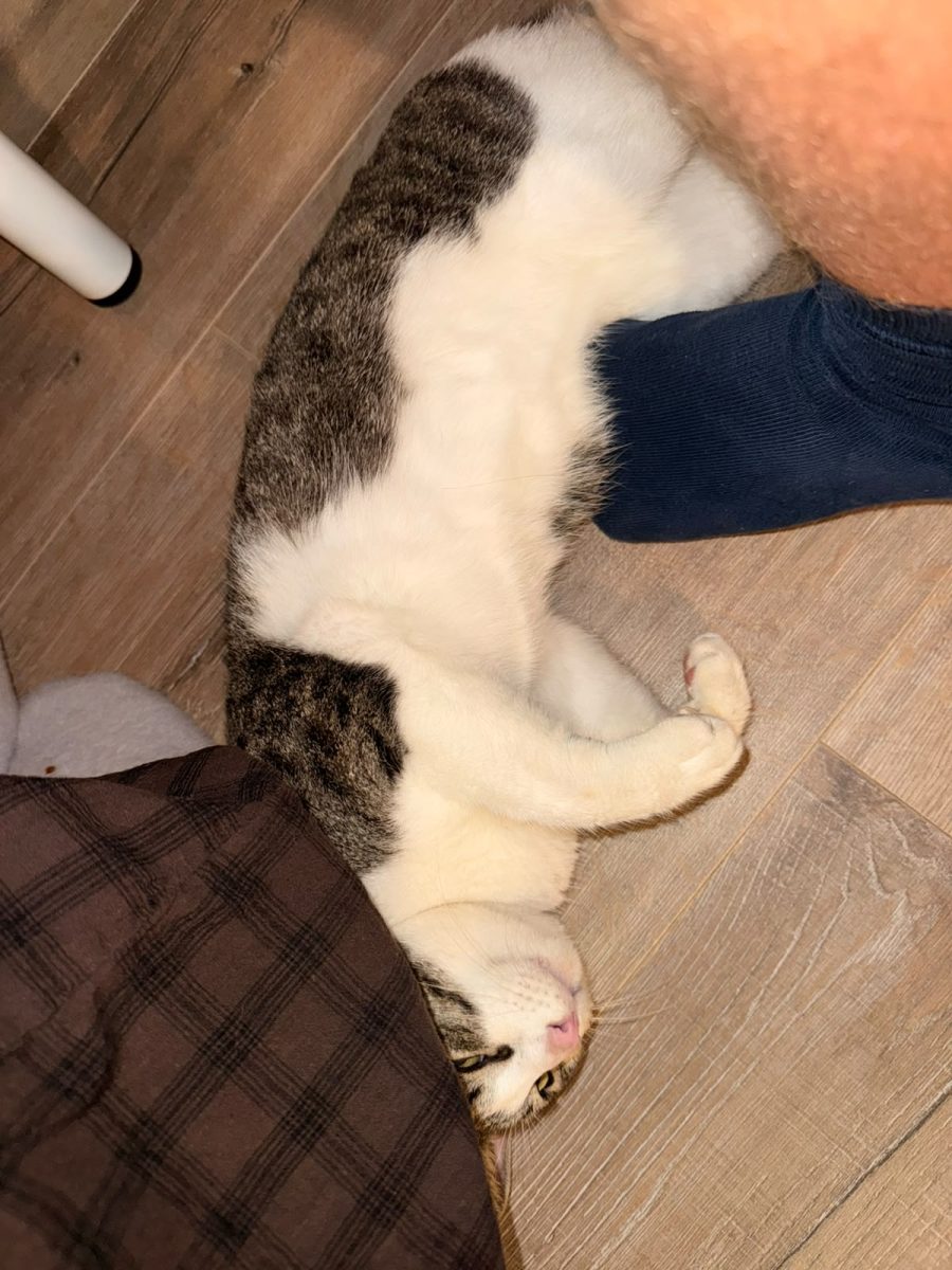 Andrei
